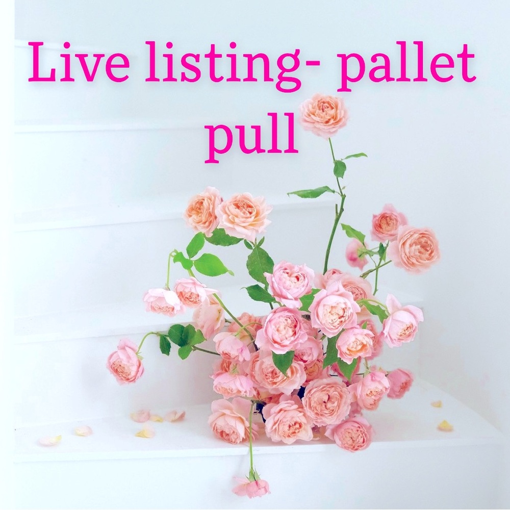 Live listing- Pallet Pull #2